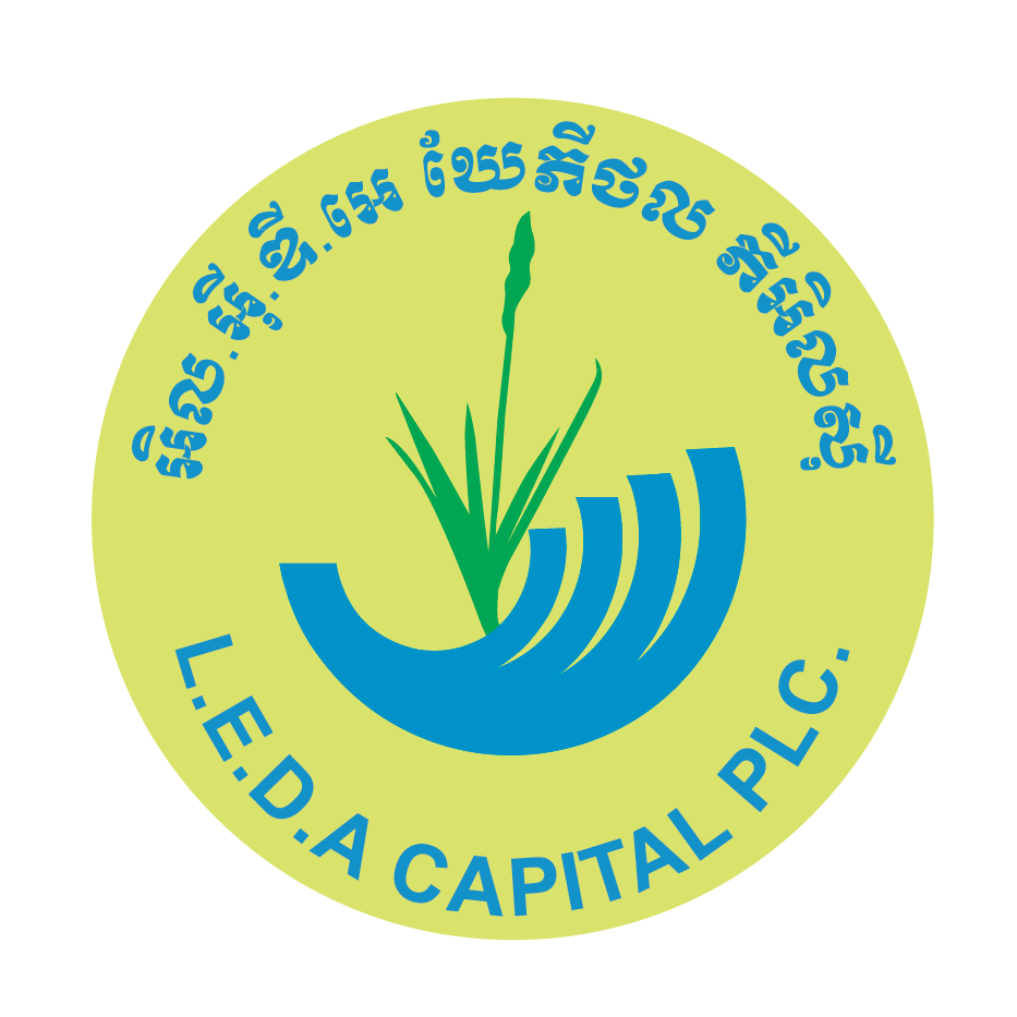 L.E.D.A CAPITAL PLC.